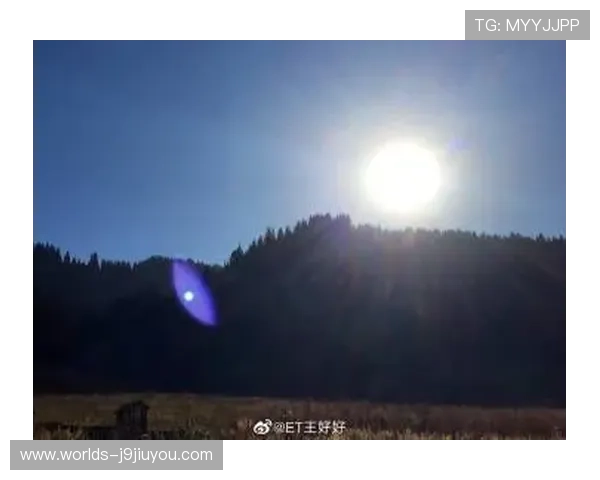 提升ag快速厅会员登录成功率的实用方法与注意事项